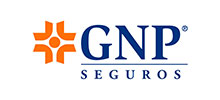 GNP